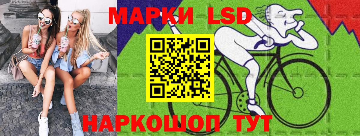 Наркотические марки 1,5мг  Наркотические марки 1,5мг  Новоалтайск  Вход с VPN 