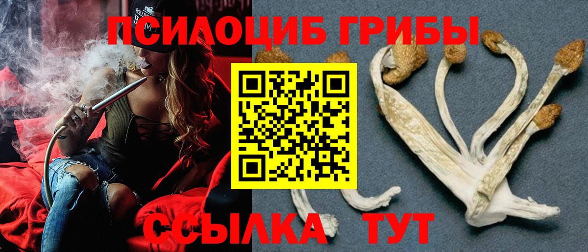 Псилоцибиновые грибы Magic Shrooms  Вход с VPN  Новоалтайск 